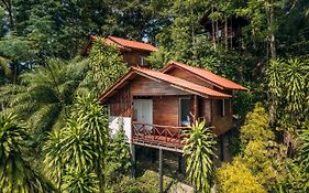 The Source Yoga And Nature Retreat Koh Phangan